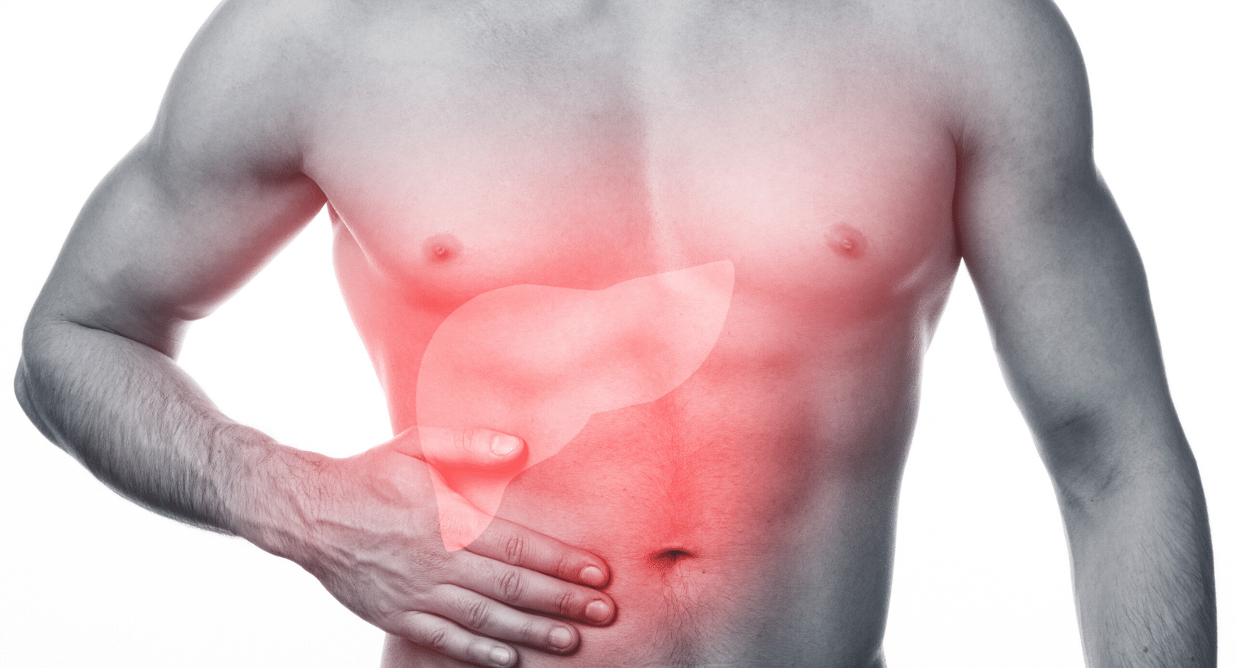 How liver dialysis helps patients to recover from acute liver failure?