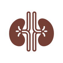 Renal Sciences, Urology and Kidney Transplant