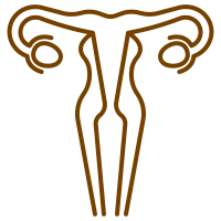 Signature Key Procedures