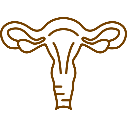 Signature Key Procedures