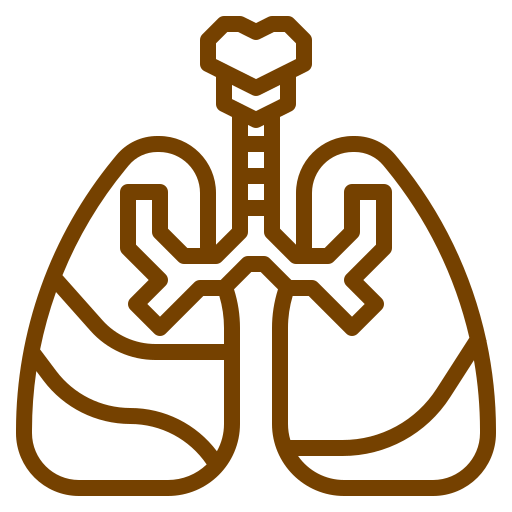 Signature Key Procedures