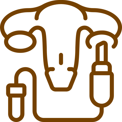 Signature Key Procedures